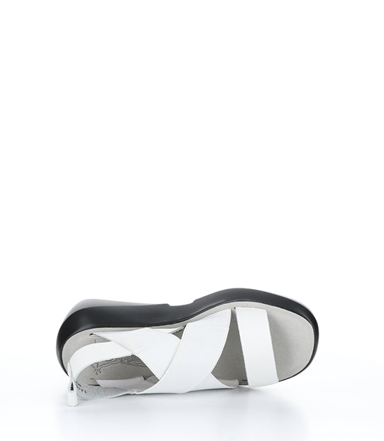 Baji848Fly 002 Off White Brooklyn