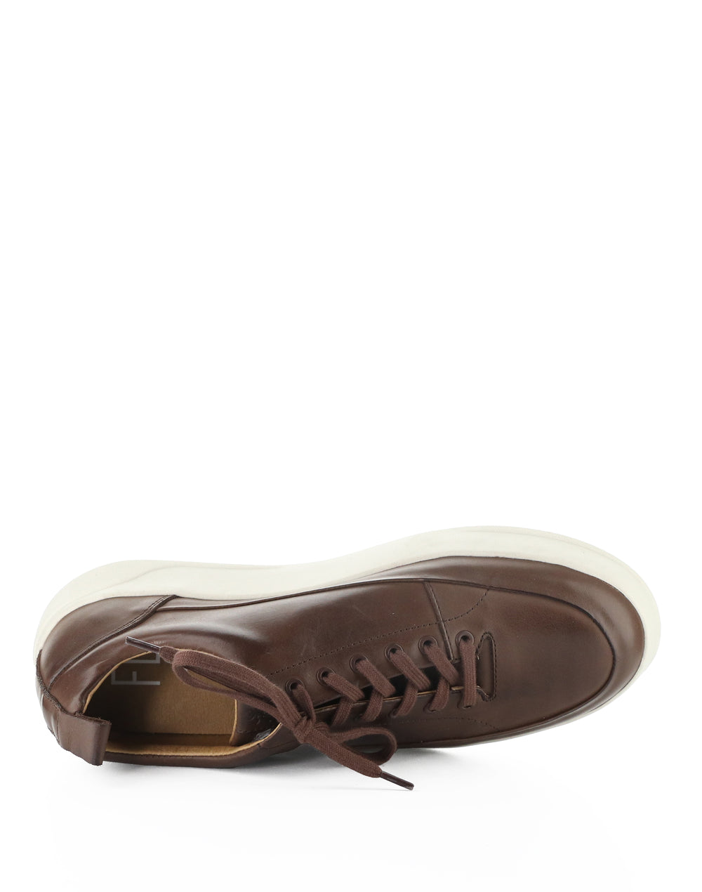 FIPE800FLY 001 BROWN BURN