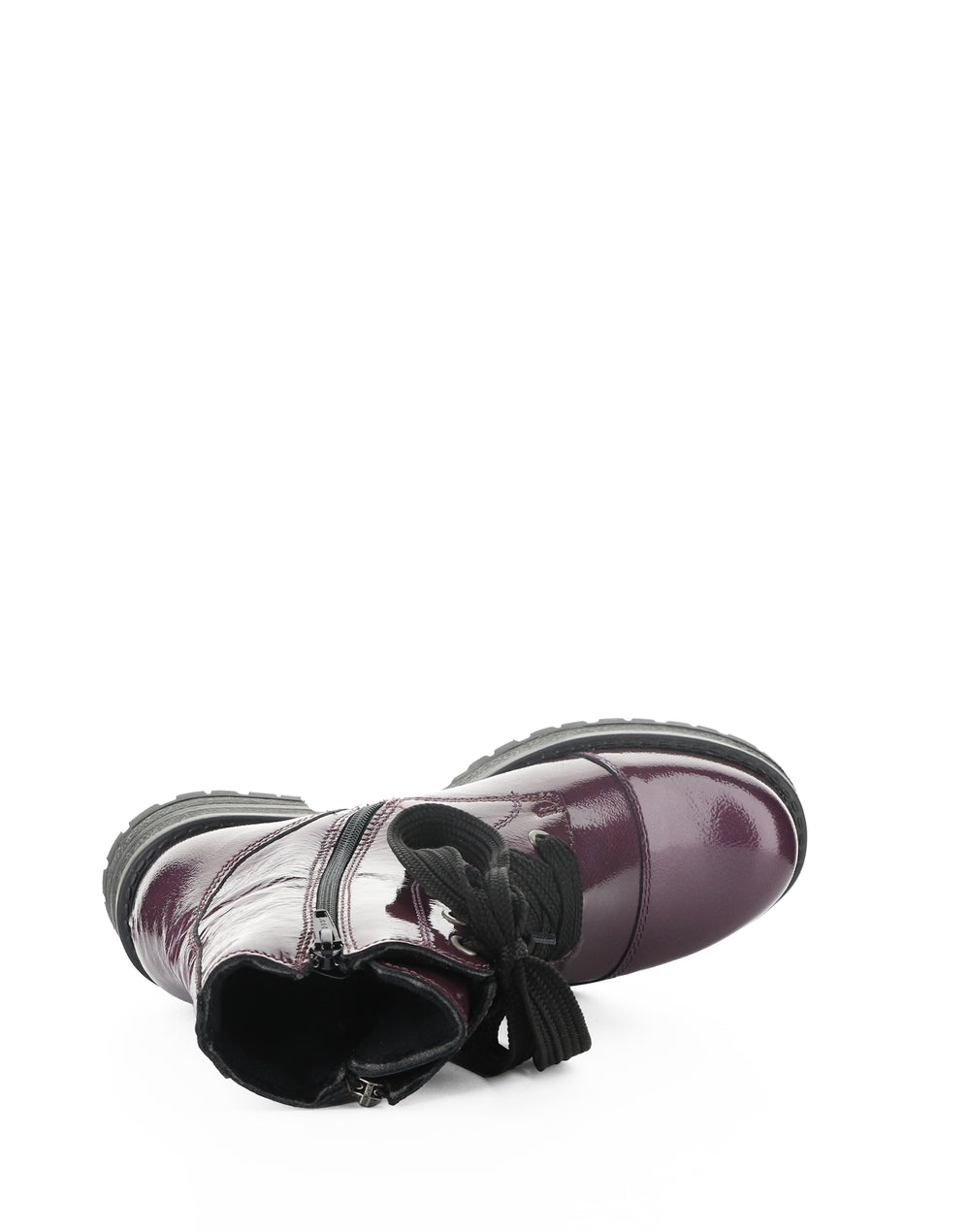 PAULIE POTENT PURPLE GULMARG PATENT