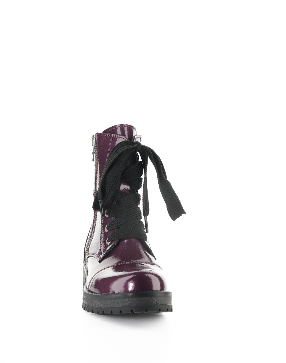 PAULIE POTENT PURPLE GULMARG PATENT