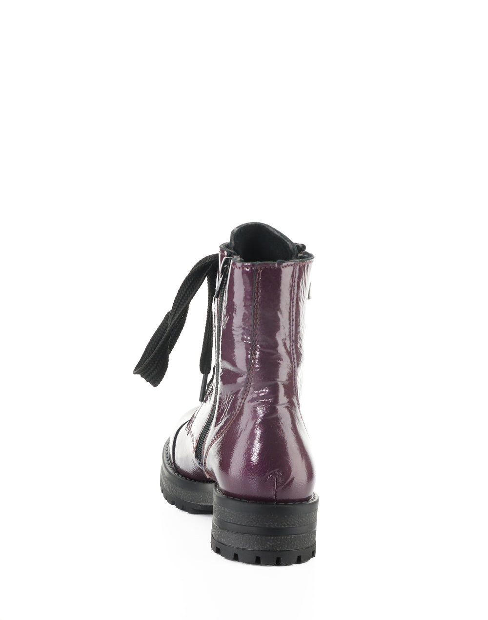 PAULIE POTENT PURPLE GULMARG PATENT