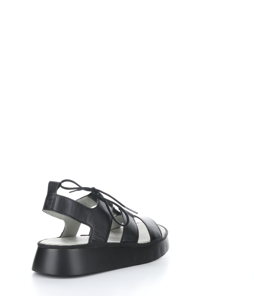 CAIO363FLY BLACK Round Toe Shoes